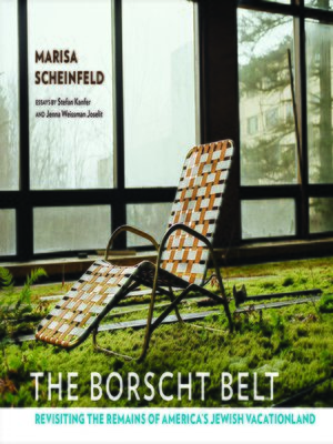 cover image of The Borscht Belt